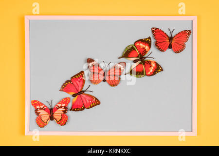 decorative butterflies in a white frame on a colored background Stock Photo