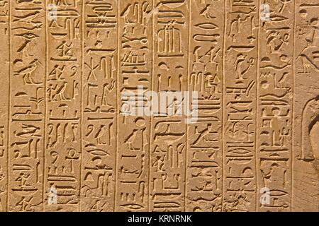 Hieroglyph pictographic script writing at the Temple of Seti, Nile ...