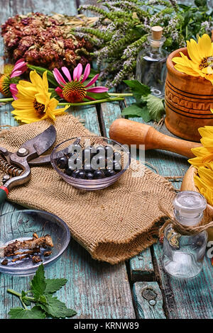 set of collected herbs and flowers for medicinal purposes Stock Photo