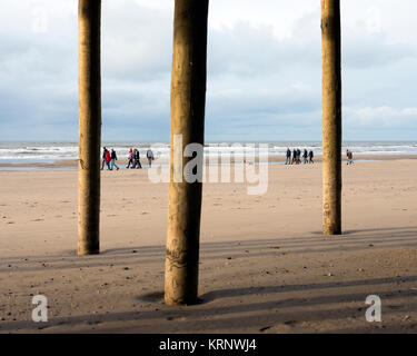 people and dogs stroll on north sea beach in dutch province of north holland on winter day Stock Photo