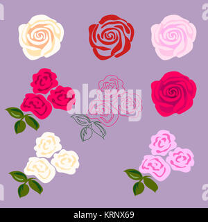 Set of rose flowers. Stock Photo