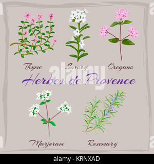 Herbes de Provence. Stock Photo