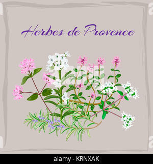 Herbes de Provence. Stock Photo