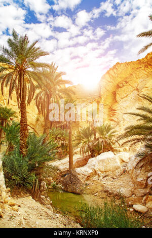 Scenic view of mountain oasis Chebika. Sahara Desert, Tunisia, Africa. Stock Photo