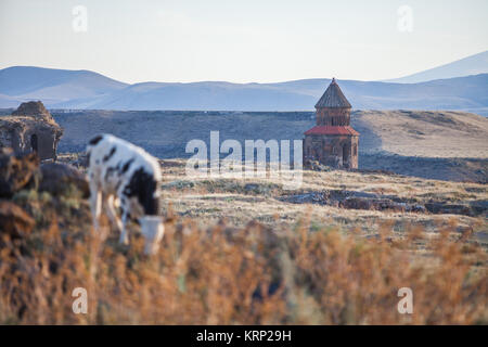 Ani ruins in Turkey Stock Photo