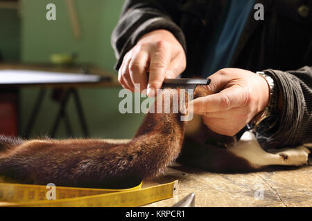 KuÅ›nierz wycina skÃ³ry. Szycie koÅ¼ucha. Wycinanie futra z norek. Stock Photo