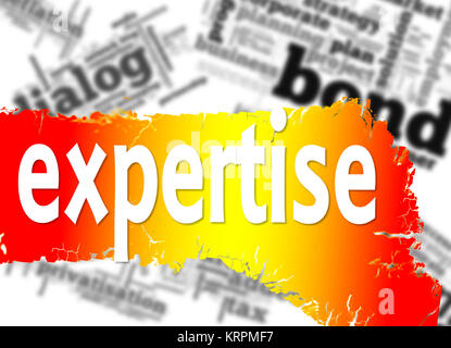 Word cloud with expertise word Stock Photo