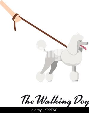 Cute dog Poodle breed pedigree vector illustration Stock Vector Image ...