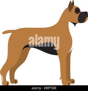 Dog boxer breed - on white background. Vector illustration Stock Vector