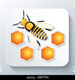 Bee and honeycomb with shadow. Vector illustration Stock Vector