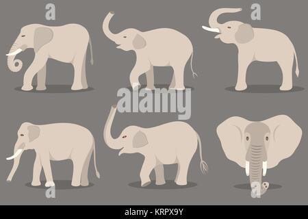White elephant set isolated on gray background Stock Vector