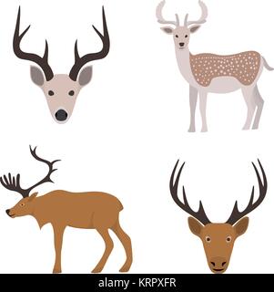 Deer head isolated on white background vector Stock Vector Image & Art ...