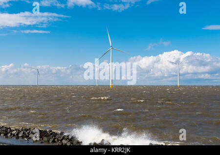 offshore windmill park Stock Photo