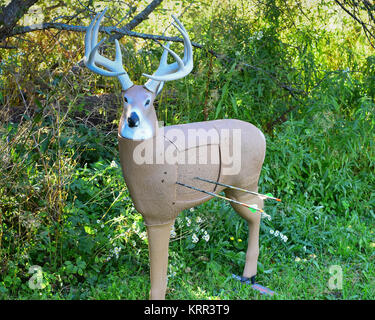 A whitetail deer 3-D life size archery target in a field with two arrows stuck in the deer's chest. Stock Photo