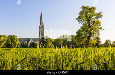 South Dalton, Yorkshire, UK. St Mary's church as veiwed from across a wheat field on a bright spring morning in South Dalton, Yorkshire, UK. Stock Photo