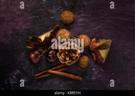 Autumn still life with dried leaves ,cones ,horse chestnuts ,cinnamon sticks and Platanus seed balls Stock Photo