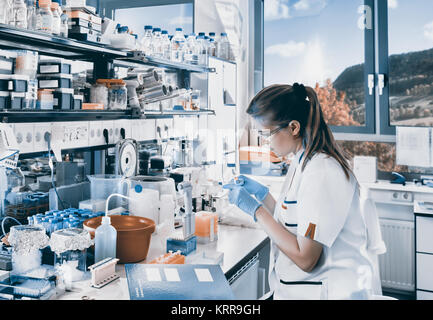 Young scientist works in modern biological lab, toned image Stock Photo