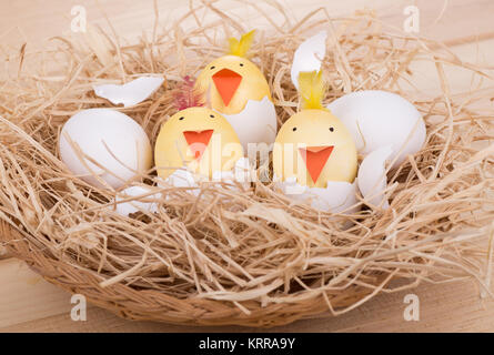 Decorated Easter eggs to look like hatching chicks in a basket Stock Photo