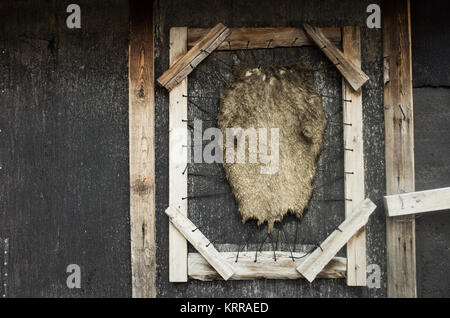 LONGYEARBYEN, Svalbard — A dog kennel for the adventure company Basecamp Explorer in Longyearbyen, Svalbard. Located a little out of town to the southeast of downtown Longyearbyen, the kennel has been built in the style of a traditional dog sledding camp. Stock Photo