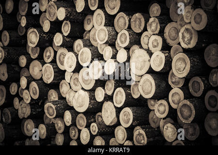 Stockpile of raw forest tree trunks after logging wood. Background from a pile of cut logs with bark in retro style. Stock Photo