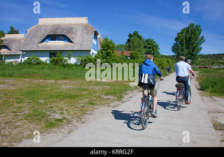 Cyclists passing thatched-roof houses at the village Kloster, island Hiddensee, Mecklenburg-Western Pomerania, Baltic Sea, Germany, Europe Stock Photo