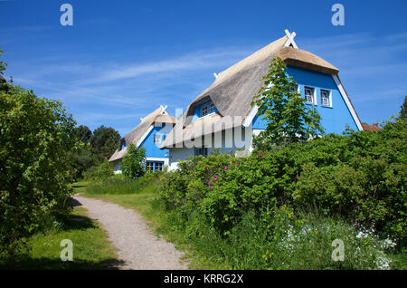 Thatched-roof houses at the village Kloster, island Hiddensee, Mecklenburg-Western Pomerania, Baltic Sea, Germany, Europe Stock Photo