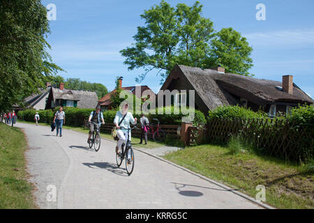 Cyclists passing thatched-roof houses at the village Kloster, Hiddensee island, Mecklenburg-Western Pomerania, Baltic Sea, Germany, Europe Stock Photo