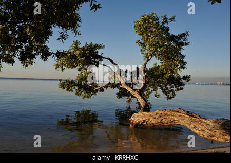 Peace and quiet at sunrise with blue skies over water, Rickenbacher Causeway, vista from Hobie Island Beach Park, Miami, Florida, USA. Stock Photo