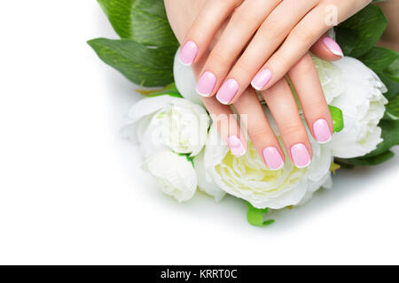 Woman hands with french manicure Stock Photo