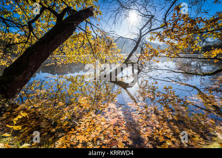 Tanzende Blätter im Herbst bei langer Belichtung, buntes Herbstlaub und deren Wanderung auf einem See, blauer Himmel und bunter Herbst am Wasser Stock Photo