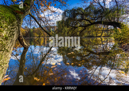 Tanzende Blätter im Herbst bei langer Belichtung, buntes Herbstlaub und deren Wanderung auf einem See, blauer Himmel und bunter Herbst am Wasser Stock Photo