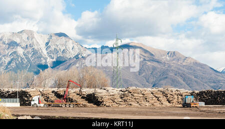 Storage of logs for the wood industry. Stock Photo