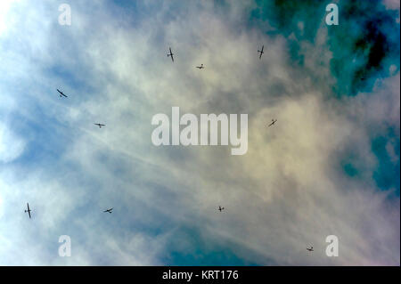 A pack of sailplanes in the thermals Stock Photo