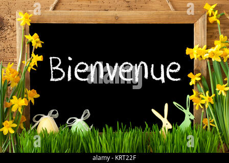 Blackboard With French Text Bienvenue Means Welcome. Spring Flowers Nacissus Or Daffodil With Grass, Easter Egg And Bunny. Rustic Aged Wooden Background. Stock Photo