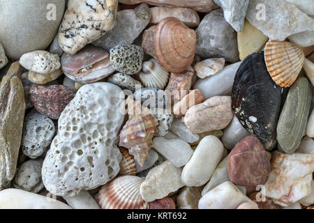 Minerals and shells Stock Photo