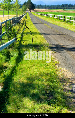 Gravel Road in Sisters, Oregon Stock Photo