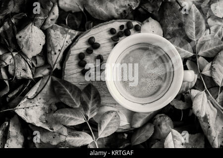 Black and white photo of a cup of coffee on a tree stump among fallen leaves Stock Photo