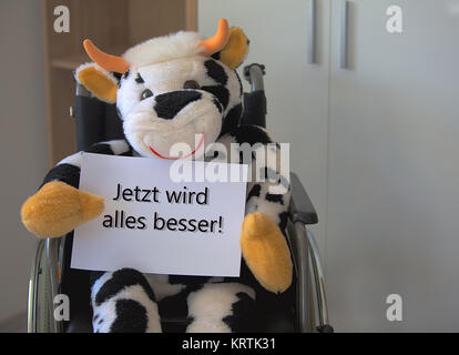 plush cow sitting in a wheelchair and holding a sign