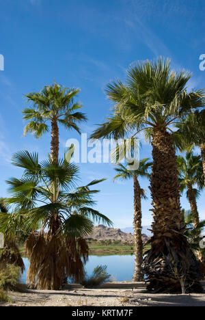 Lake Las Vegas Henderson Nevada USA Stock Photo