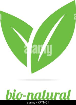 Eco icon green leaf with long shadow vector illustration isolated Stock Vector