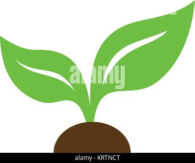 Eco icon green leaf vector illustration Stock Vector Image & Art - Alamy