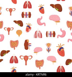 Cartoon Human Internal Organs Background Pattern on a Green Medicine Anatomy Flat Style Design for Web. Vector illustration Stock Vector