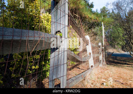 Rustic split rail wooden fence Stock Photo