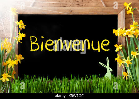 Blackboard With French Text Bienvenue Means Welcome. Sunny Spring Flowers Nacissus Or Daffodil With Grass And Easter Bunny. Rustic Aged Wooden Background. Stock Photo