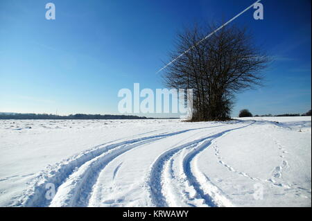 Winterlandschaft mit Bäumen und einem Kondensstreifen am blauen Himmel Stock Photo