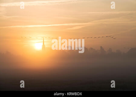 Misty dawn sunrise with an English church spire and flying canada geese in December. Kings Sutton, Nr Banbury, Northamptonshire, England. Silhouette Stock Photo