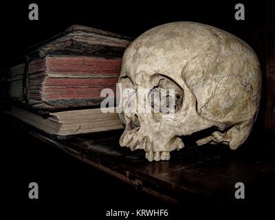 Skull and old books on bookshelf, Austria Stock Photo