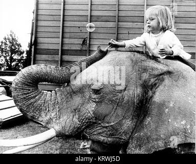 Child sitting on elephant's back, England, Great Britain Stock Photo