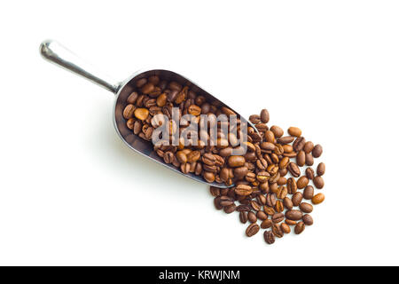 Coffee beans in metal scoop. Stock Photo