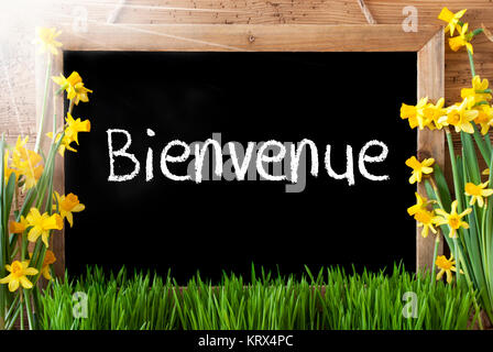 Blackboard With French Text Bienvenue Means Welcome. Sunny Spring Flowers Nacissus Or Daffodil With Grass. Rustic Aged Wooden Background. Stock Photo
